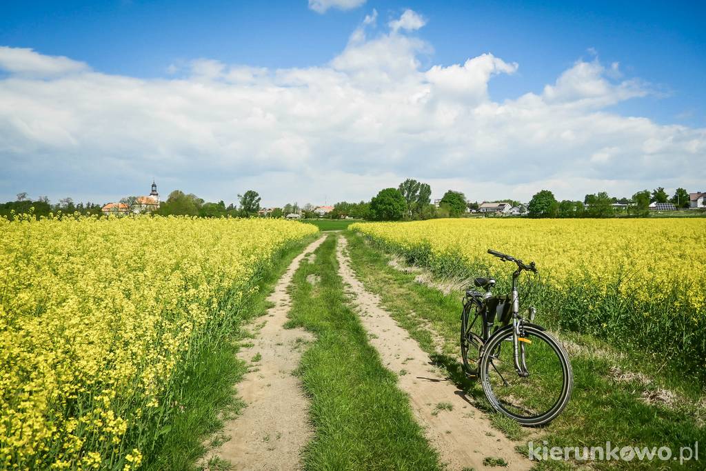 Pola rzepaku i polna droga pod Choczem - doskonałe tereny na rowerowe wycieczki co zobaczyć w choczu