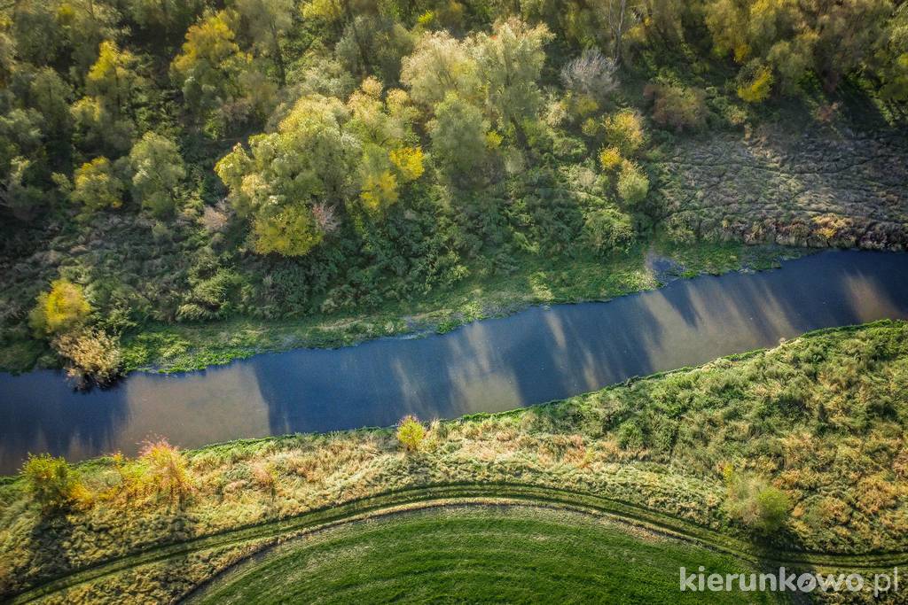 Prosna w okolicach Chocza