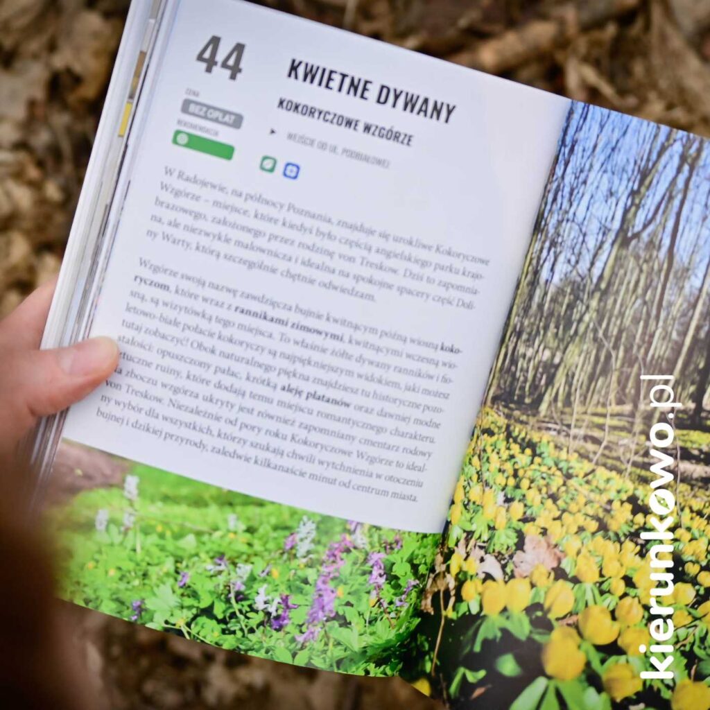Wnętrze przewodnika "Poznań dla ciekawych"