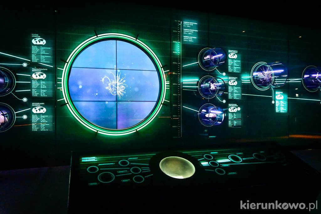 Strefa "Głębiny" w Hydropolis