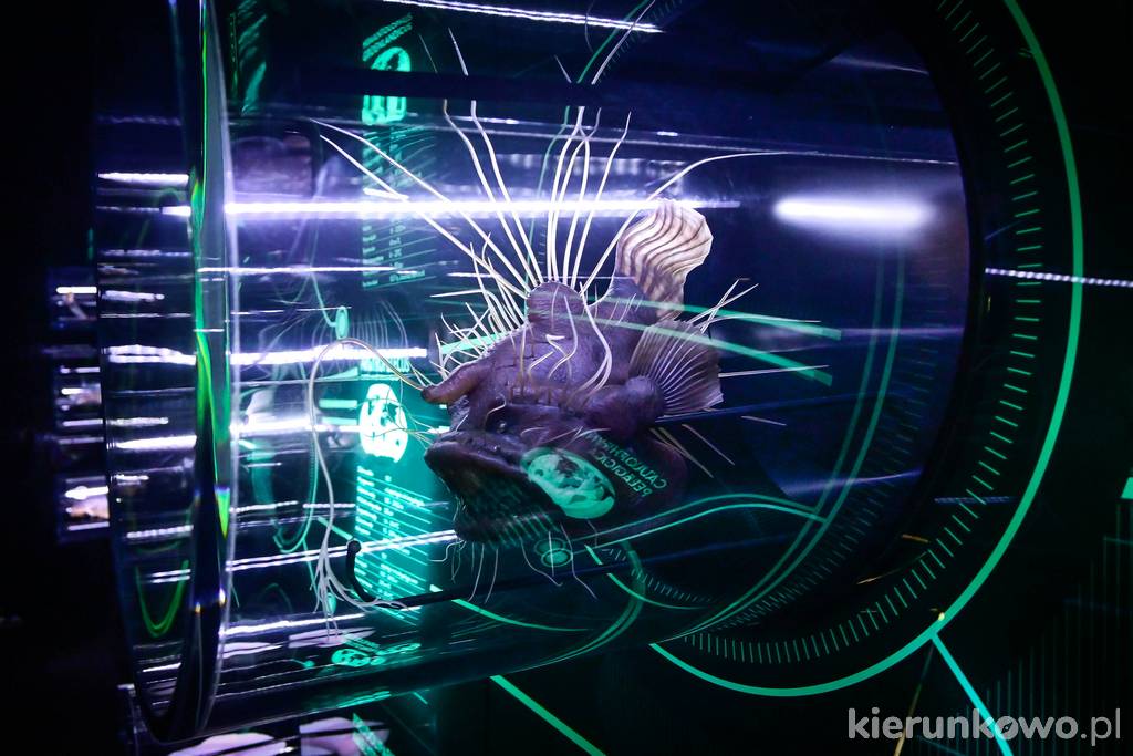 Modele morskich stworzeń, żyjących w odległych głębinach oceanów w Hydropolis we Wrocławiu