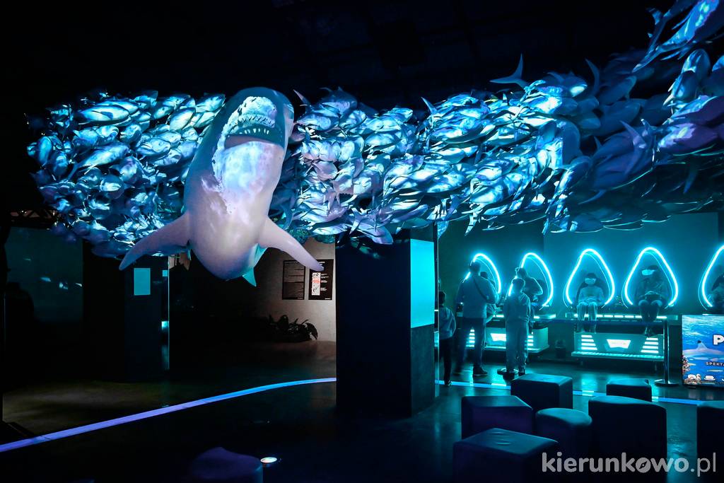 Strefa "Ocean Życia" w Hydropolis Wrocław