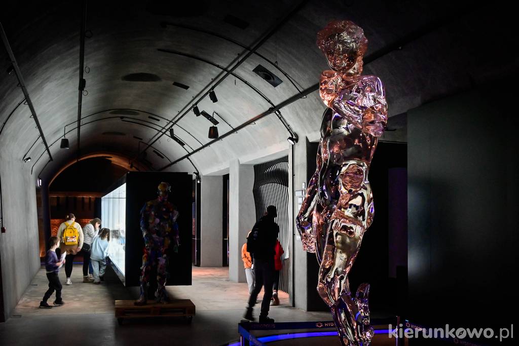 Rzeźba Michała Anioła "Dawid" w Hydropolis Wrocław. Najdokładniejsza na świecie kopia rzeźby wykonana z przeźroczystego akrylu