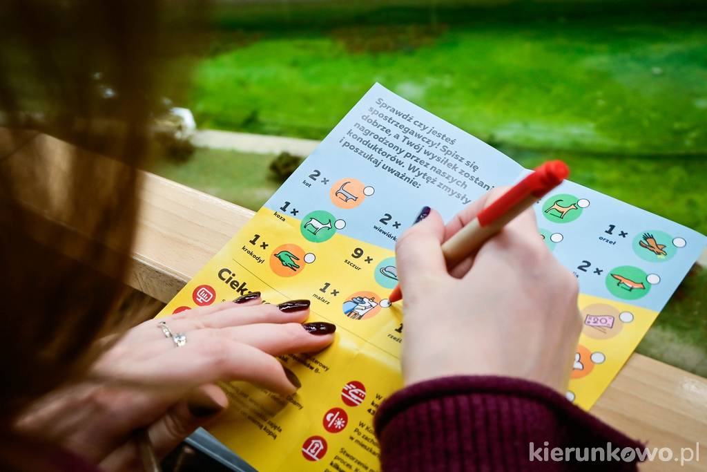 Polecam oglądać makietę z przewodnikiem, w którym znajdziecie grę na spostrzegawczość (do pobrania przy kasie)