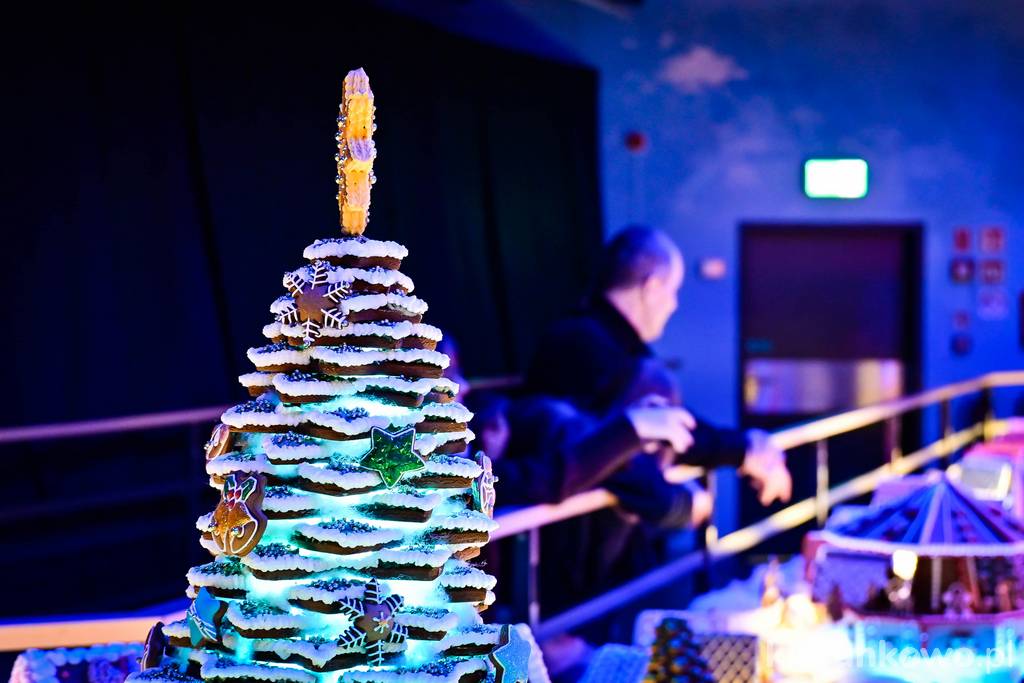 Miasto z Piernika można też oglądać w nocnym wydaniu