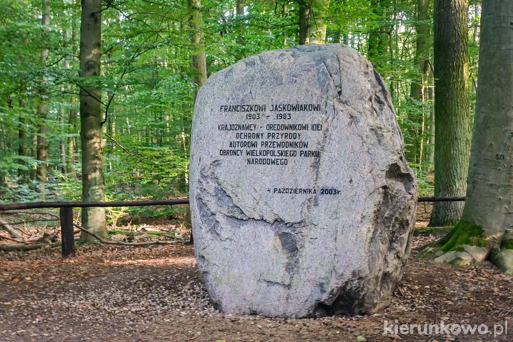 Głaz Franciszka Jaśkowiaka w Wielkopolskim Parku Narodowym