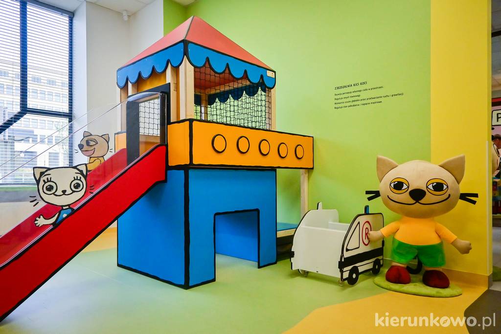 Sala zabaw Kici Koci w Poznaniu