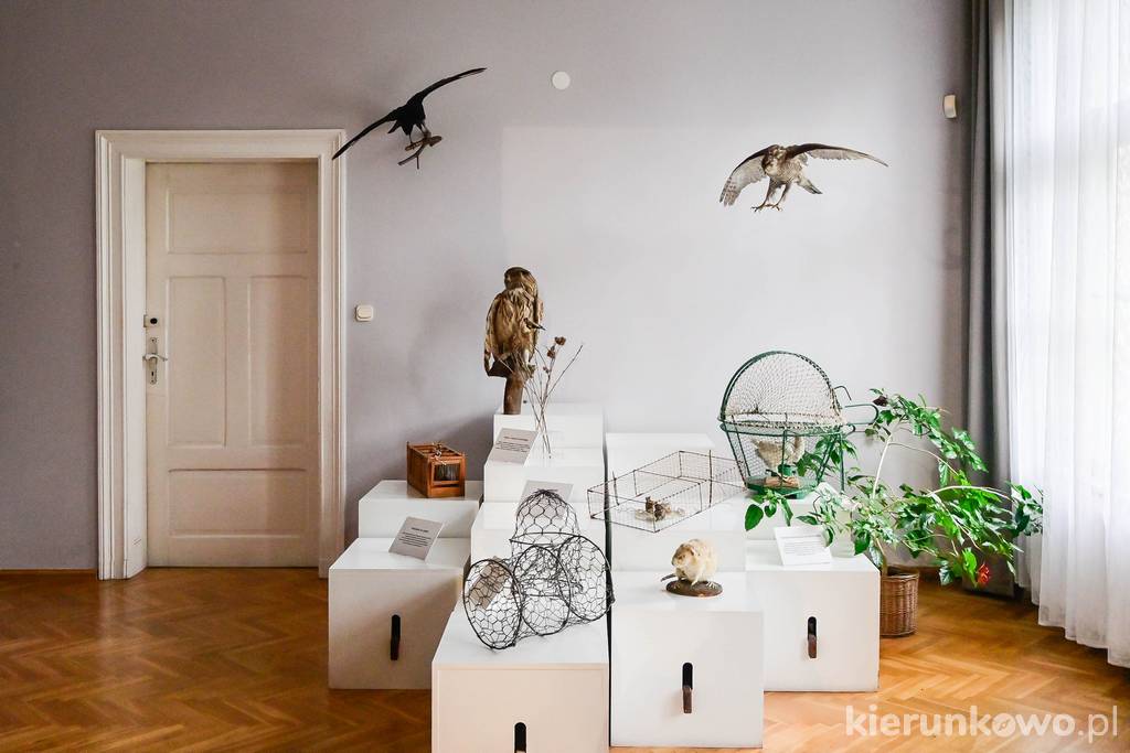 Ekspozycja Muzeum Przyrodniczo-Łowieckiego w Uzarzewie